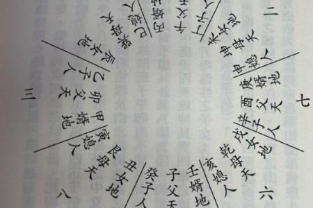 深入解析十二支天干，揭秘命运背后的密码