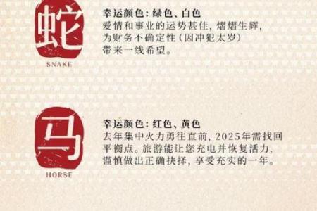 生肖揭秘：揭秘你所属生肖的神奇命运