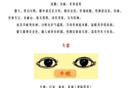 识人如神：揭秘面相大师的独门绝技