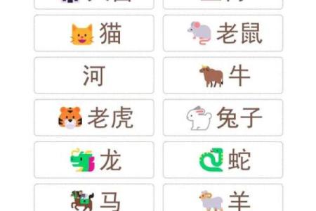 生肖大揭秘：揭秘十二生肖背后的神秘力量