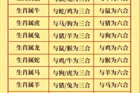 鼠龙合鸣：2018年生肖大碰撞