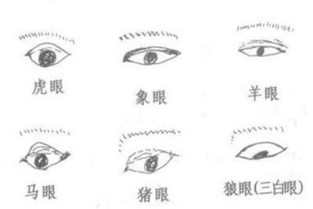 揭秘面相秘诀：女人面相中的秘密，让你一眼看穿她的爱情状态