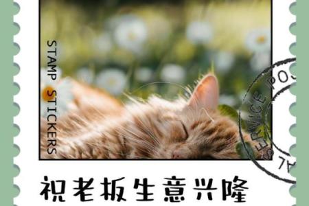 老板必看生意兴隆的风水秘诀，一招助你财运亨通