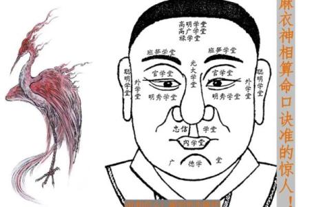 麻衣神相独家揭秘：鼻子痣的神奇面相解读