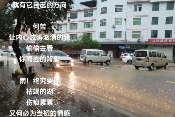 雨落时分：揭秘属雨的神秘命运之谜