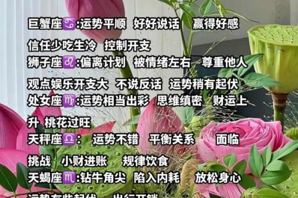 十二星座专属运势揭秘：揭秘你每月运势的秘密武器