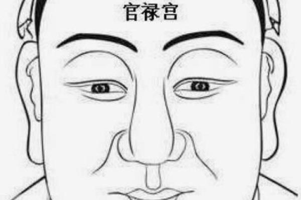 面相揭秘：山根年寿，揭秘命运密码