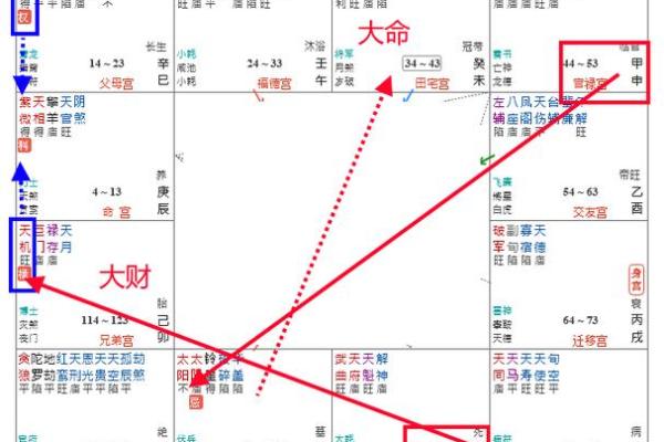 紫薇命格：揭秘命运之树的神奇力量