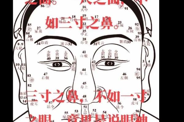 轻松转换八字，揭开你命运的真面目