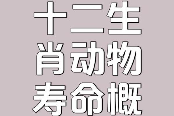 牛与兔子的爱情传说：兼容并蓄还是南辕北辙？