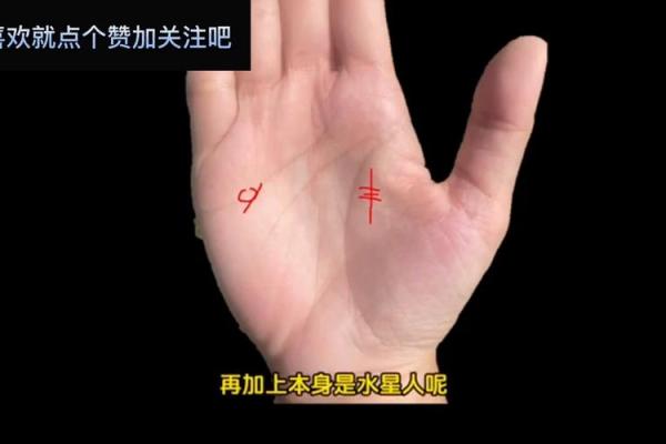 揭秘：丫头手相究竟隐藏了哪些不为人知的秘密？