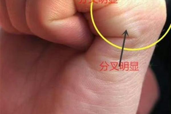 手相揭秘：男人元宝纹预示大富大贵，快来测测你的财运