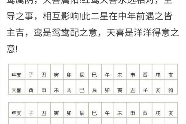 揭秘十二地支命煞：运势起伏的神秘力量