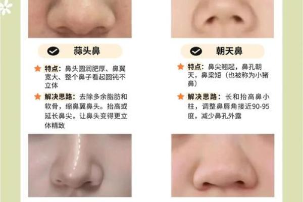 中年鼻子形态揭秘：财运、健康大揭秘