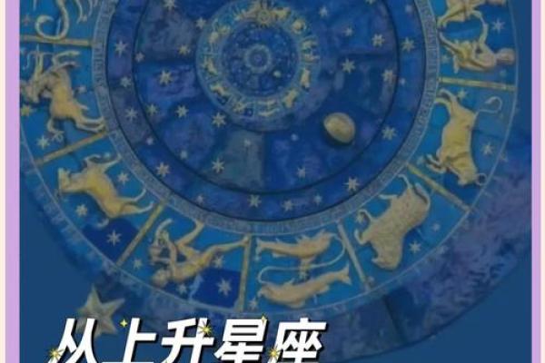14星座揭秘：你的运势大爆发，快来一探究竟