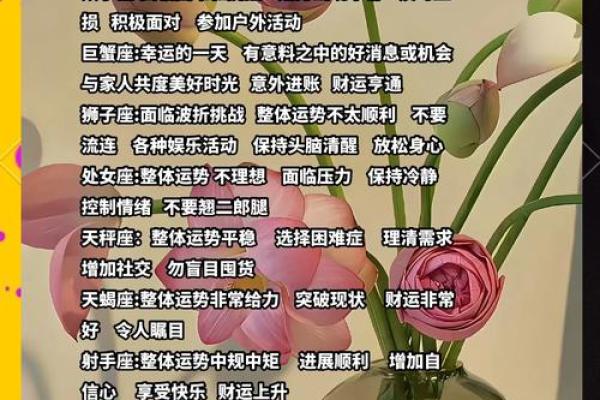 14星座揭秘：你的运势大爆发，快来一探究竟