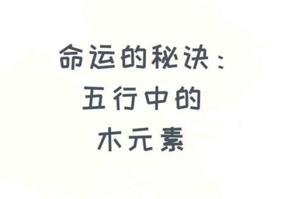 为什么五行属木如此重要？从五行角度看命运走势