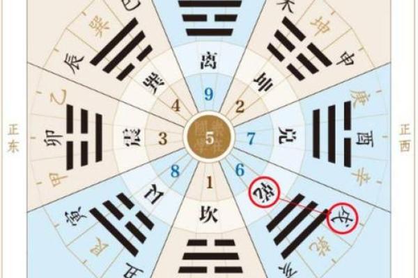 身体健康与天干地支的奇妙关联，如何应对