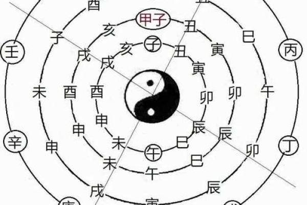 身体健康与天干地支的奇妙关联，如何应对