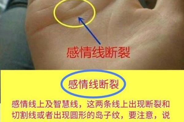 揭秘手相奥秘：爱情线在哪里，你的爱情运势一触即发