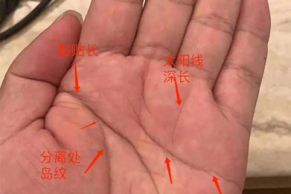 揭秘手相奥秘：爱情线在哪里，你的爱情运势一触即发