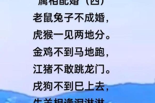 老鼠爱兔子？生肖相配指南大揭秘
