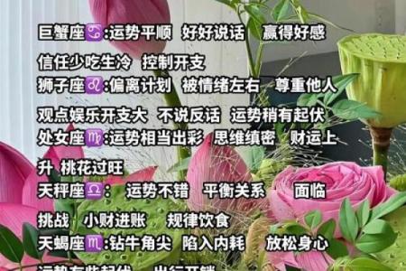 十二星座专属运势揭秘：揭秘你每月运势的秘密武器