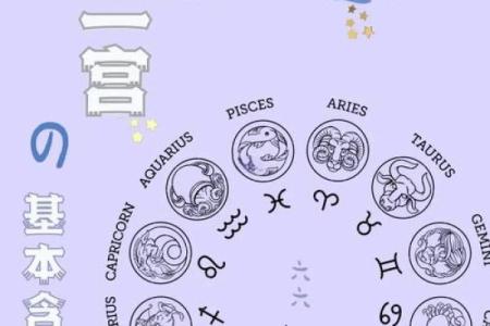 十二星座运势揭秘：揭秘你的面相运势，解锁人生幸福密码