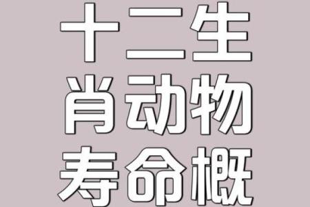牛与兔子的爱情传说：兼容并蓄还是南辕北辙？