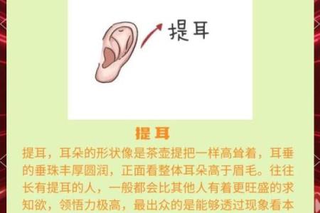 耳骨饱满，财运亨通：揭秘面相中的富贵之相
