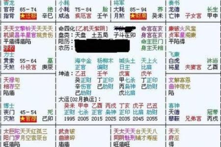 奇门年命排盘揭秘：如何通过命盘掌握人生走向
