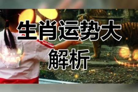 生肖宝典：揭秘十二生肖运势大逆袭
