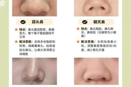 中年鼻子形态揭秘：财运、健康大揭秘