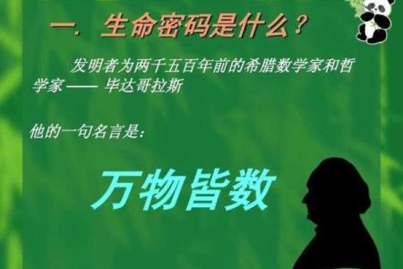 阴盘在线排盘揭秘：探索你的生命密码与运势走势