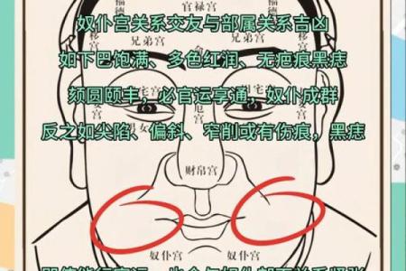 揭秘：鼻梁低面相背后的运势与命运