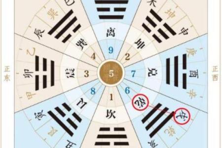 身体健康与天干地支的奇妙关联，如何应对