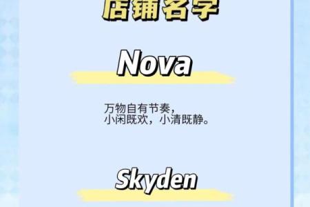 最具创意的英文贸易公司起名指南