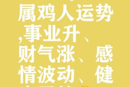 2017鸡年运势大揭秘：你的生肖财运如何？