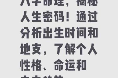 精准八字分析案例，揭示命运背后的秘密