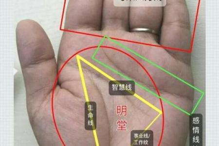 揭秘手相中的富豪密码：这些手相特征的男人注定财源滚滚
