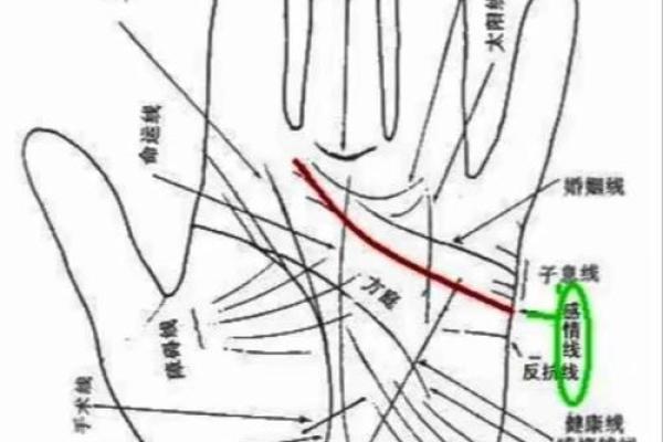 手相奥秘大揭秘：谁能帮我看看手相？揭秘命运的秘密