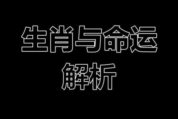 三兄四弟齐聚，揭秘生肖之谜