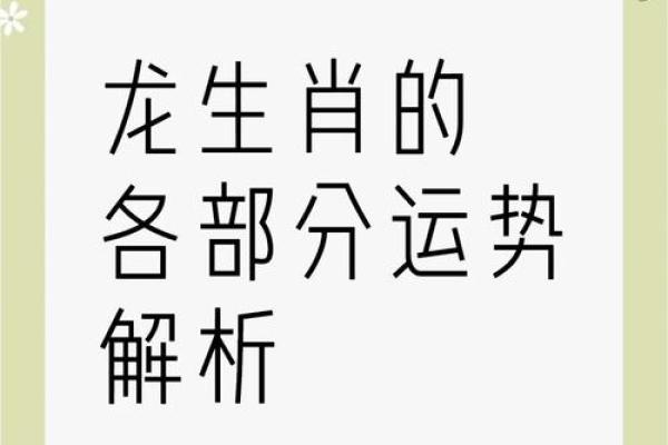 生肖风云：2024年运势大揭秘
