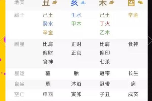 揭秘大运地支排盘，教你洞察命运变化