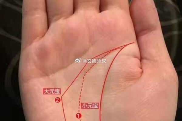 揭秘手相奥秘：大拇指下竖线密集，财运亨通的秘密