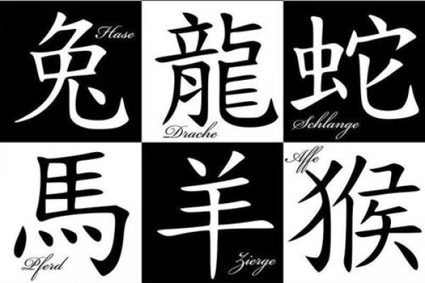 十二生肖大揭秘：找到最适合你的干亲属相