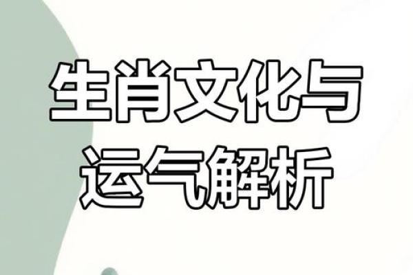 生肖决定命运：揭秘生肖运势，掌握人生轨迹
