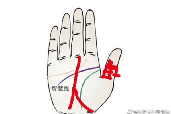 揭秘手相密码：一掌定乾坤，掌握你的命运轨迹