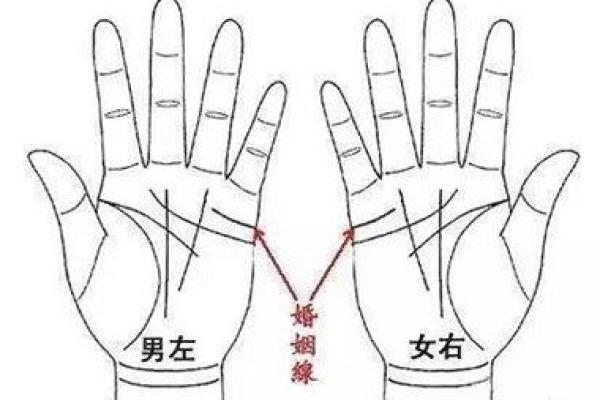 手相航海线：揭秘你的海上冒险天赋