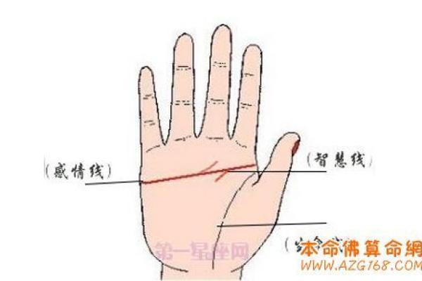 手相航海线：揭秘你的海上冒险天赋